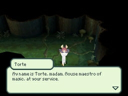 Final Fantasy: The 4 Heroes of Light - Imagen 36